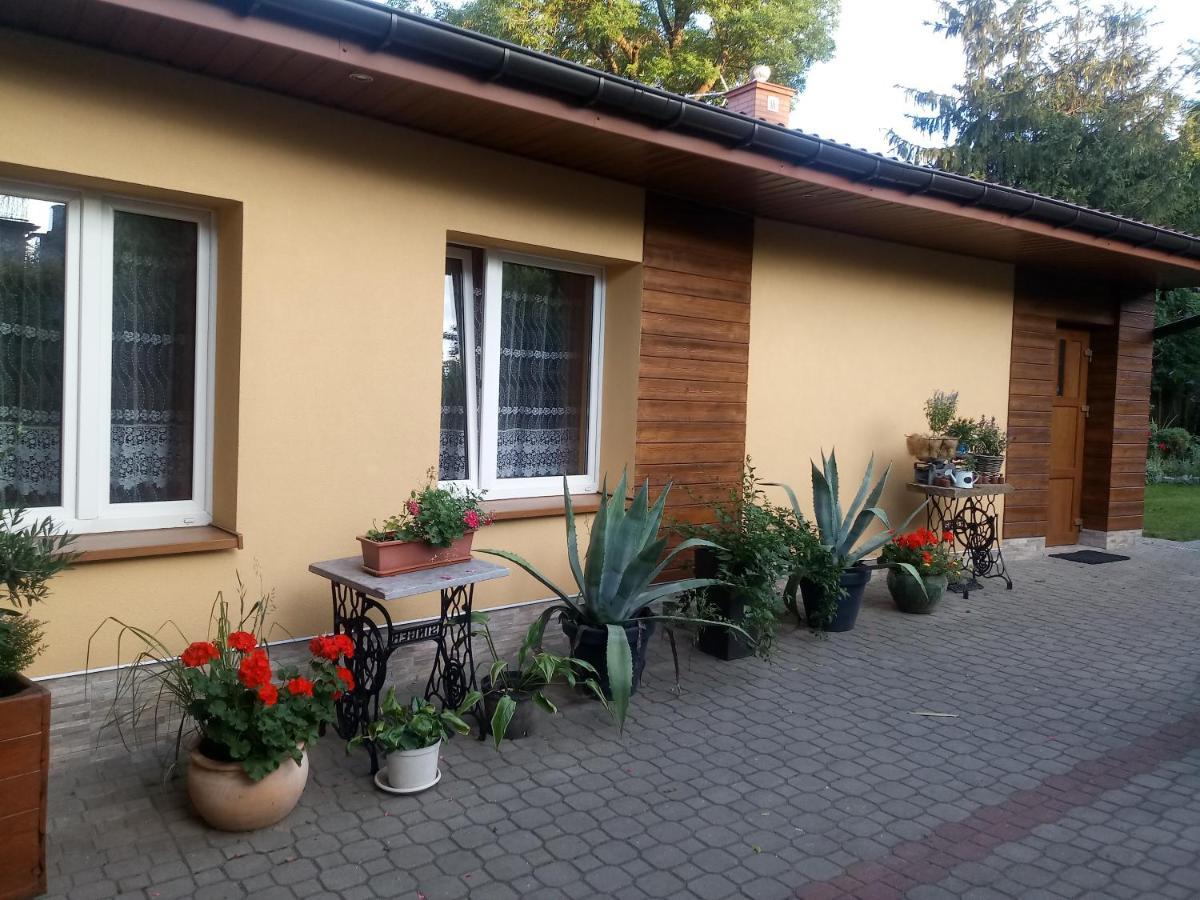 Agroturystyka U Agaty Checiny  Bagian luar foto
