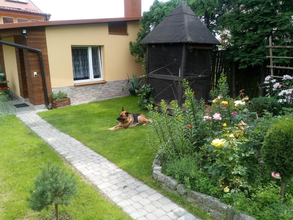 Agroturystyka U Agaty Checiny  Bagian luar foto