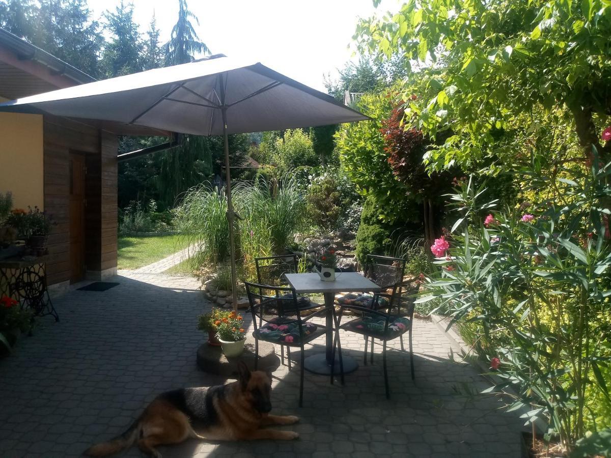 Agroturystyka U Agaty Checiny  Bagian luar foto